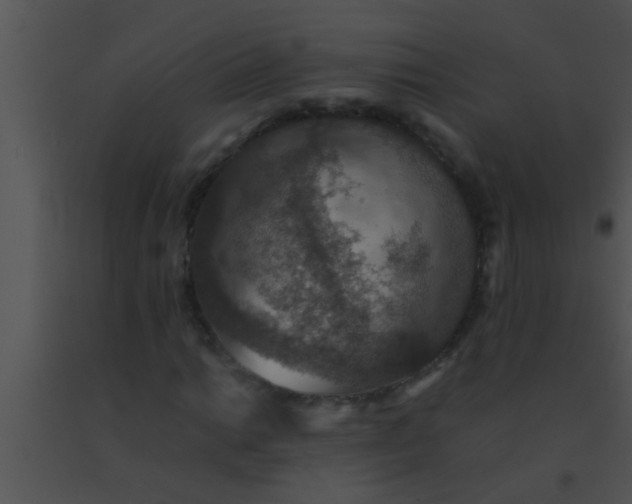 X0000091551014200708311349