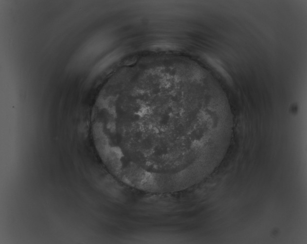 X0000091551015200708311349