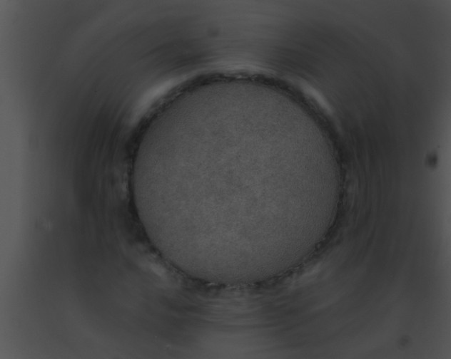 X0000091551016200708311349