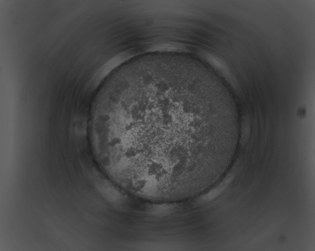 X0000091551017200708311349