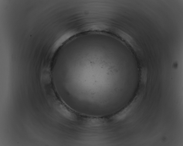 X0000091551018200708311349