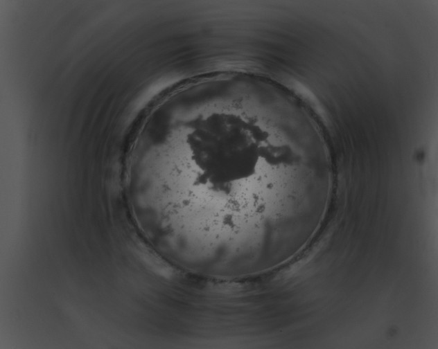 X0000091551019200708311349