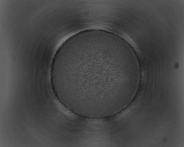 X0000091551020200708311349