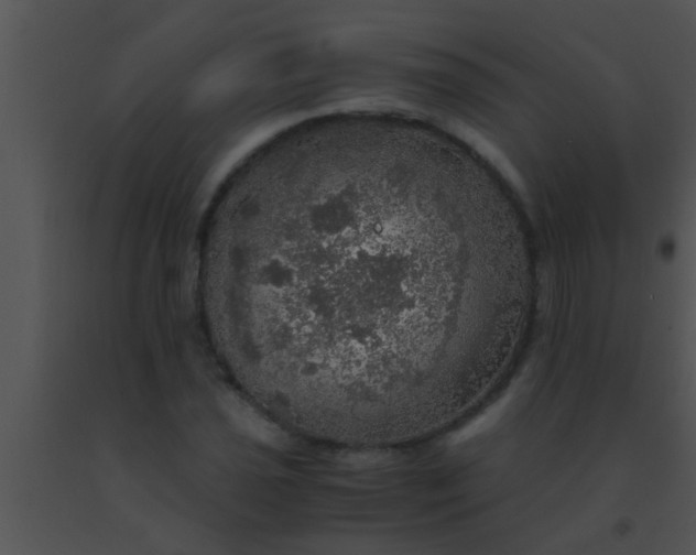 X0000091551021200708311349