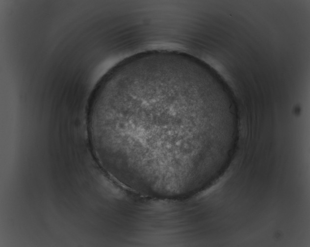 X0000091551022200708311349