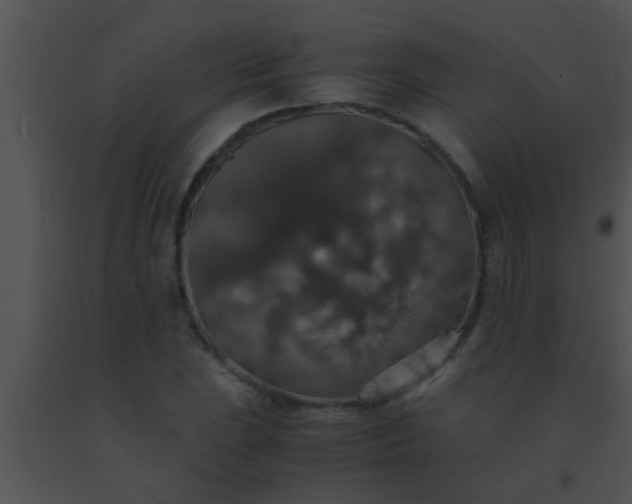 X0000091551023200708311349