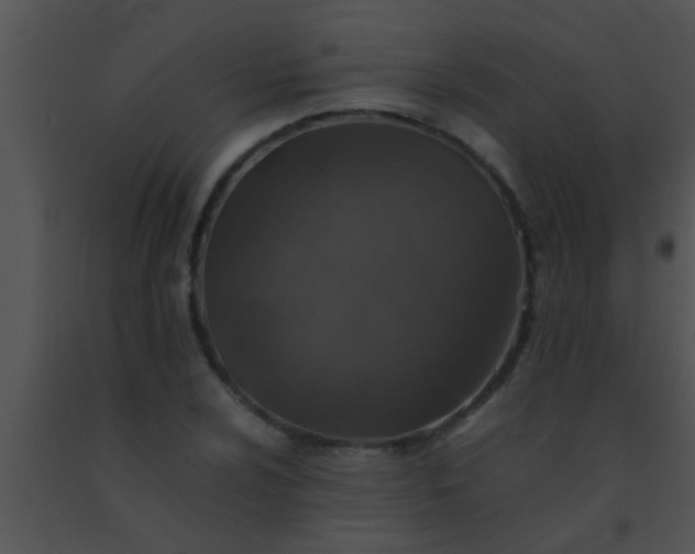 X0000091551024200708311349