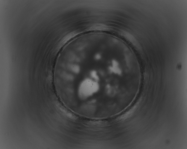 X0000091551025200708311349