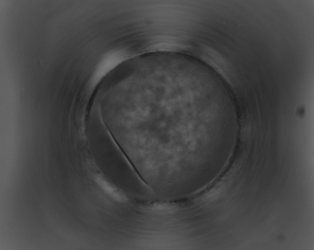 X0000091551026200708311349