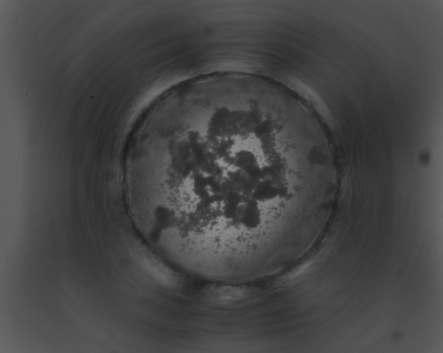 X0000091551027200708311349