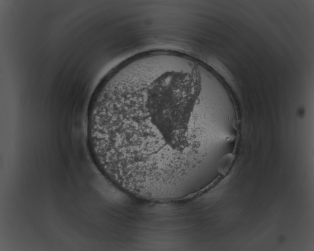 X0000091551028200708311349