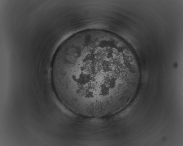 X0000091551029200708311349