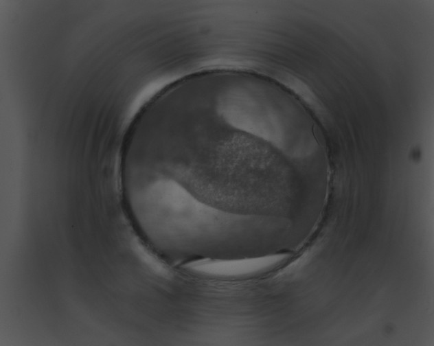 X0000091551030200708311349