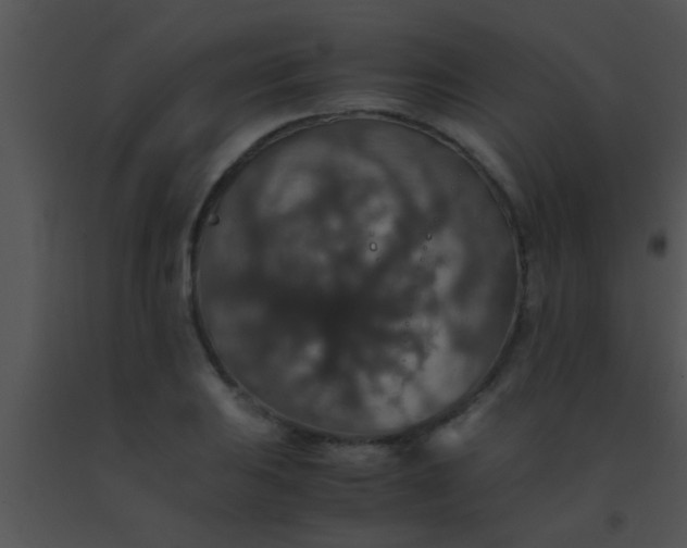 X0000091551031200708311349