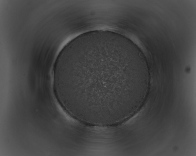 X0000091551032200708311349