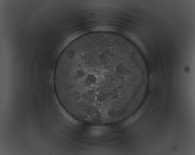 X0000091551033200708311349