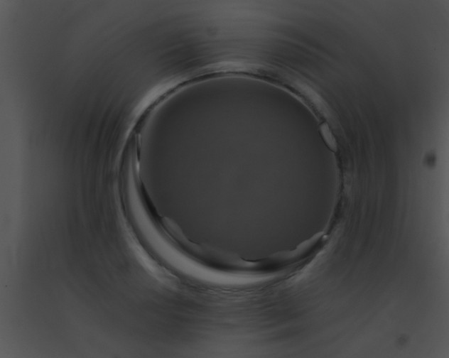 X0000091551034200708311349