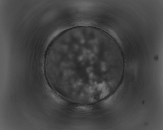 X0000091551035200708311349