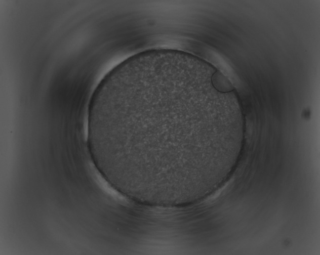 X0000091551036200708311350
