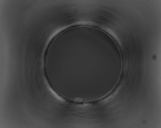 X0000091551037200708311350