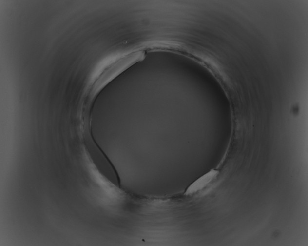 X0000091551038200708311350