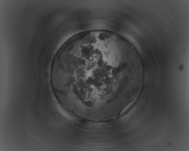 X0000091551039200708311350