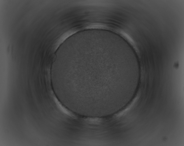 X0000091551041200708311350
