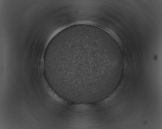 X0000091551044200708311350