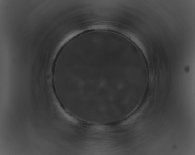 X0000091551045200708311350