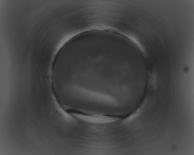 X0000091551046200708311350