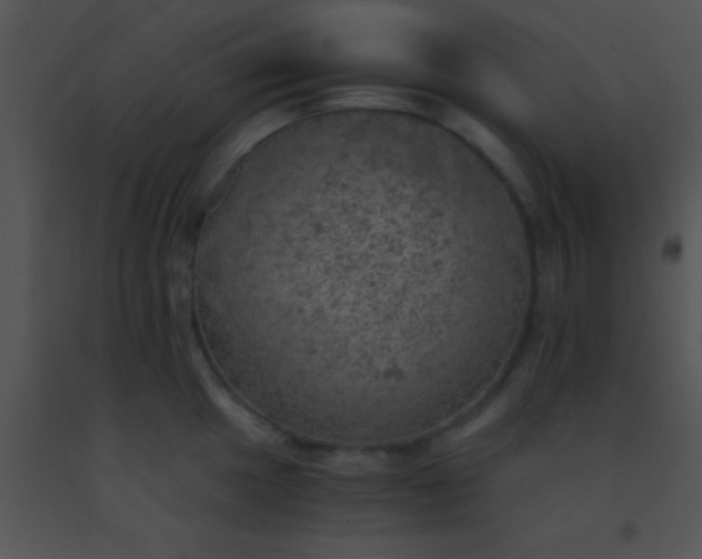 X0000091551049200708311350