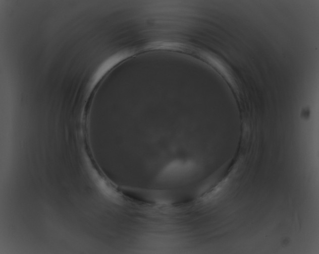 X0000091551050200708311350