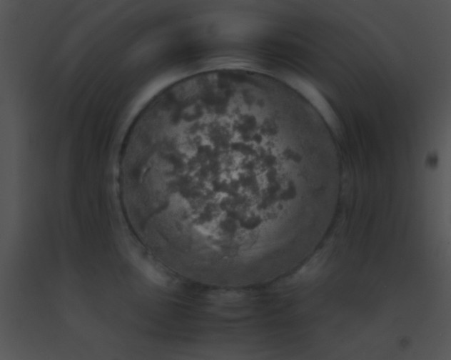 X0000091551051200708311350