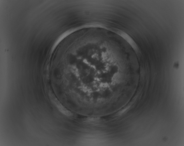X0000091551052200708311350