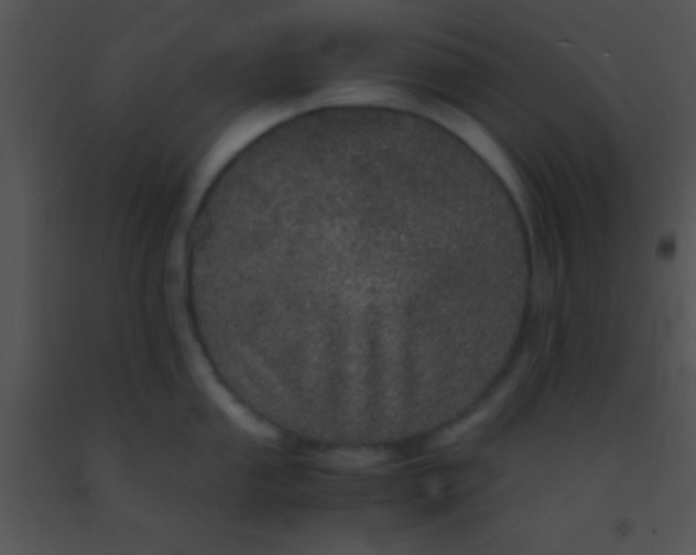 X0000091551053200708311350