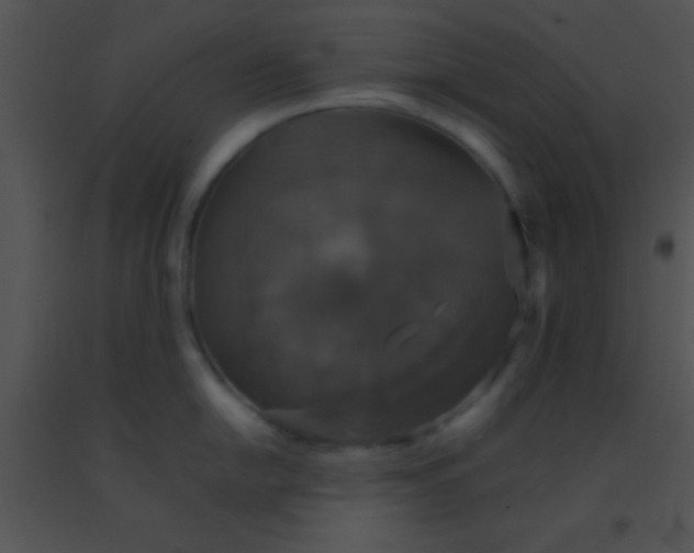 X0000091551054200708311350