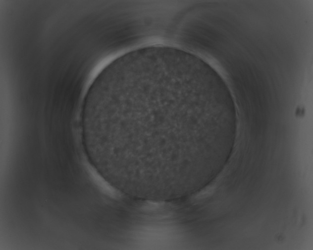 X0000091551056200708311350