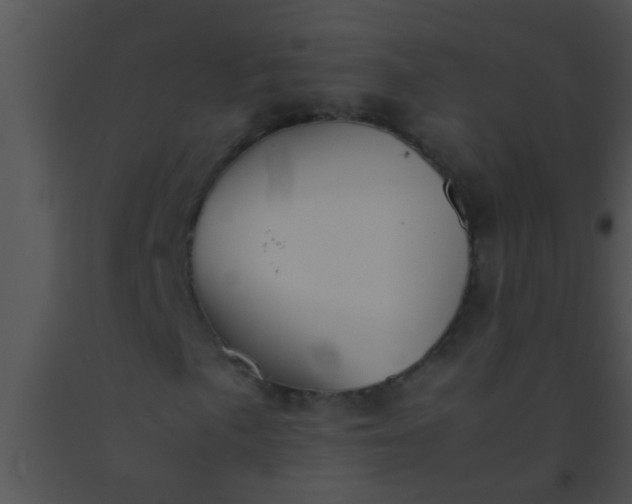 X0000091551057200708311349