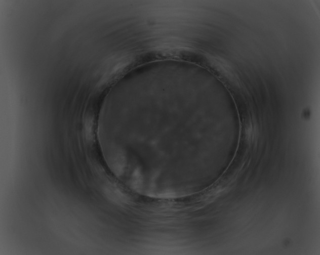 X0000091551060200708311349