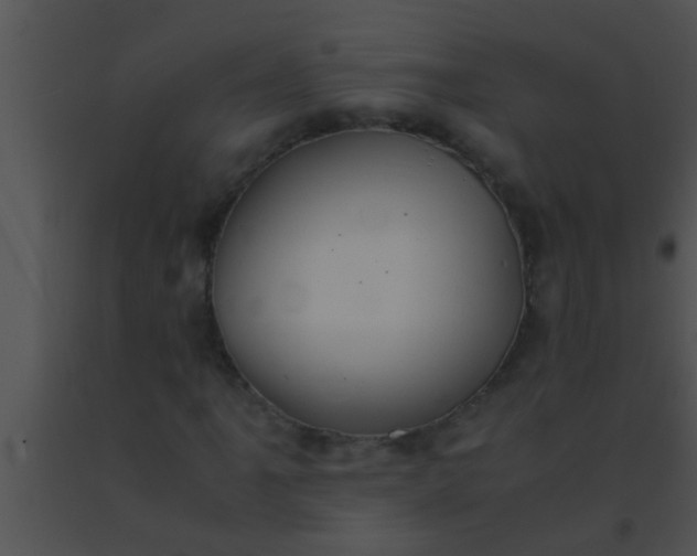 X0000091551061200708311349