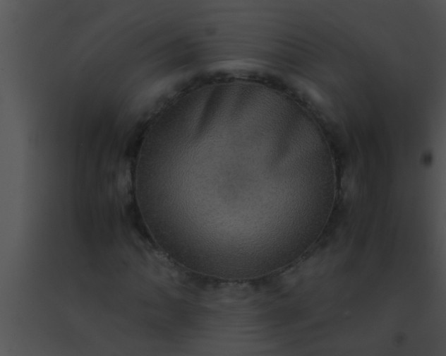 X0000091551062200708311349