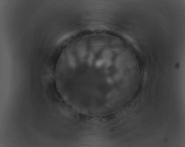 X0000091551063200708311349