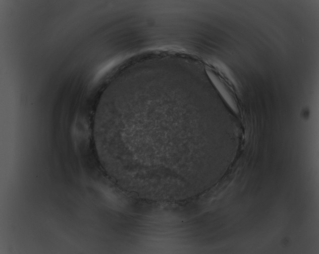 X0000091551064200708311349
