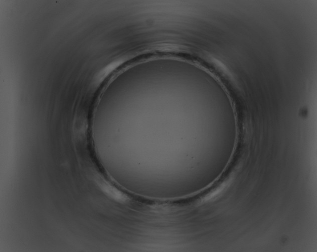 X0000091551065200708311349