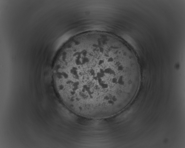 X0000091551067200708311349