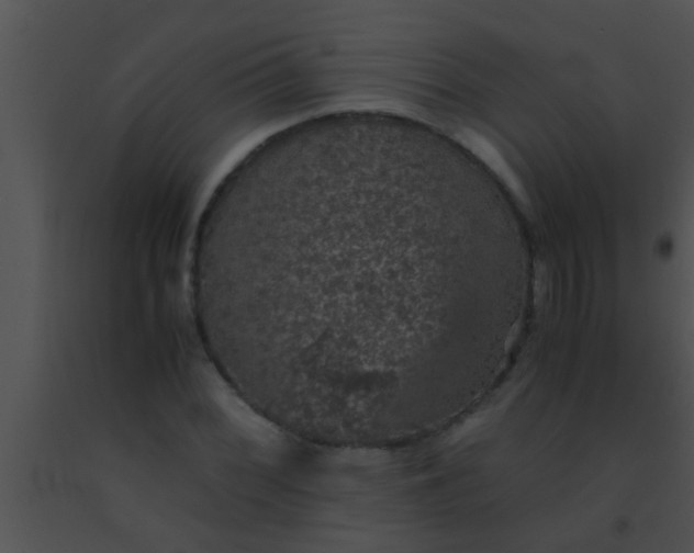 X0000091551068200708311349