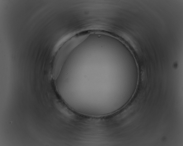 X0000091551069200708311349
