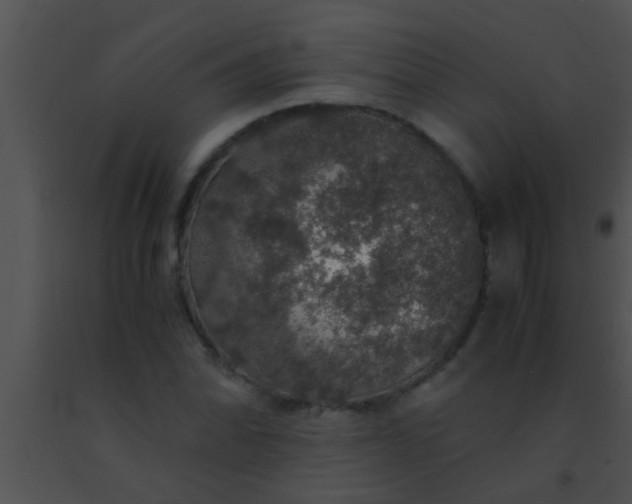 X0000091551070200708311349