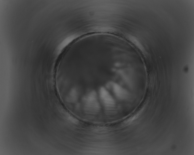 X0000091551071200708311349