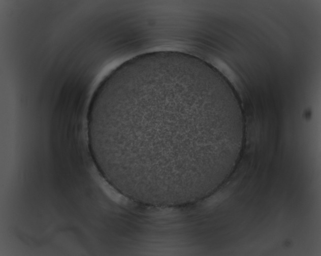 X0000091551072200708311349